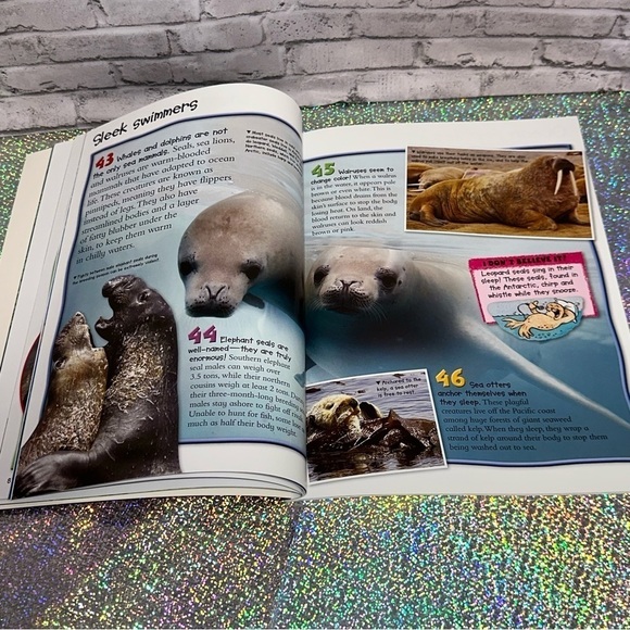 100 Facts OCEANS Book Projects Quizzes Fun Facts Cartoons Miles Kelly Publishing - Picture 11 of 11